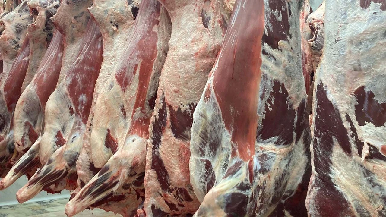 Kesim Hizmeti - Hijyenik koşullarda profesyonel kesim hizmeti